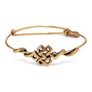 Endless Knot Alex and Ani Bangle